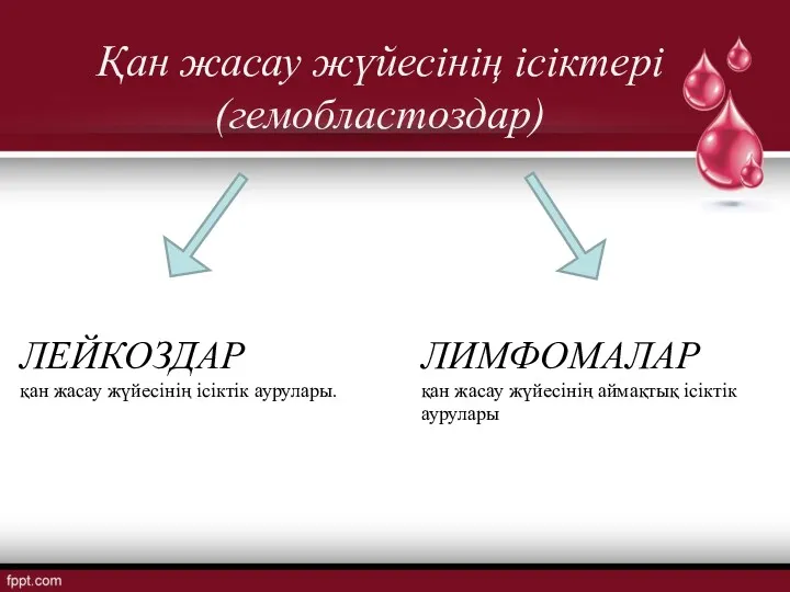 Қан жасау жүйесінің ісіктері (гемобластоздар) ЛЕЙКОЗДАР қан жасау жүйесінің ісіктік аурулары. ЛИМФОМАЛАР қан