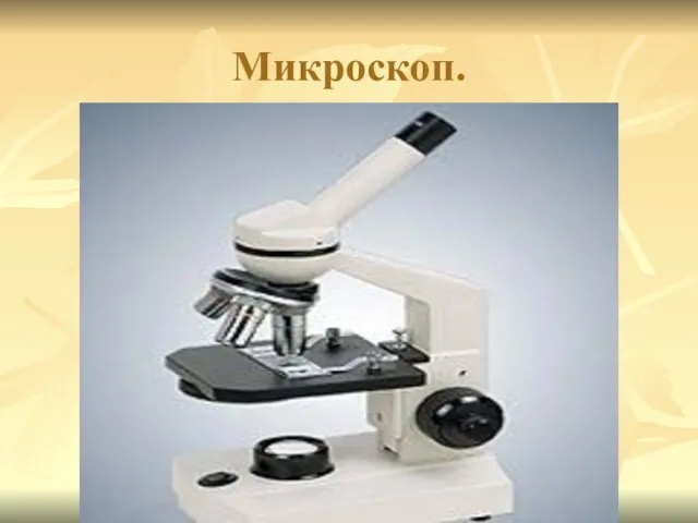 Микроскоп.