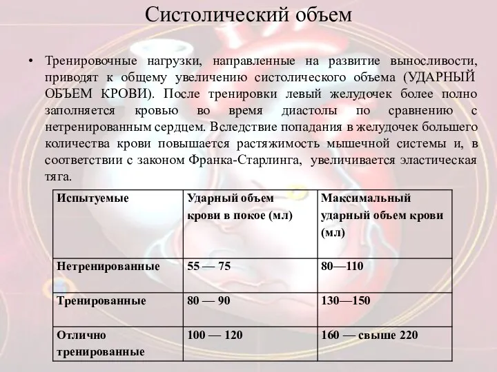 Систолический объем Тренировочные нагрузки, направленные на развитие выносливости, приводят к