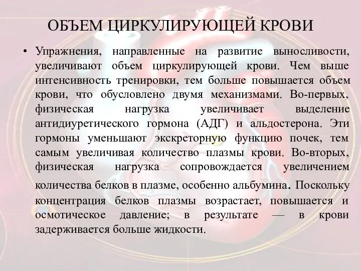 ОБЪЕМ ЦИРКУЛИРУЮЩЕЙ КРОВИ Упражнения, направленные на развитие выносливости, увеличивают объем