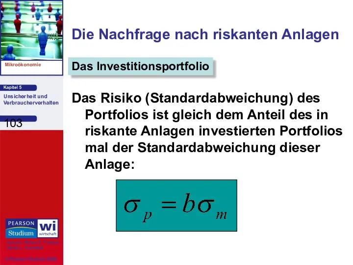 Die Nachfrage nach riskanten Anlagen Das Risiko (Standardabweichung) des Portfolios