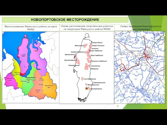 Схема расположения лицензионных участков на территории Ямальского района ЯНАО Местоположение