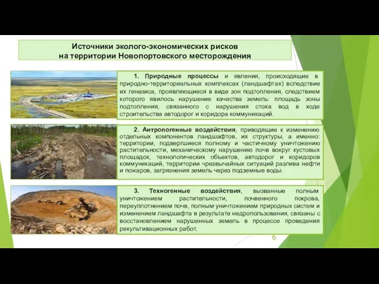 Источники эколого-экономических рисков на территории Новопортовского месторождения 1. Природные процессы