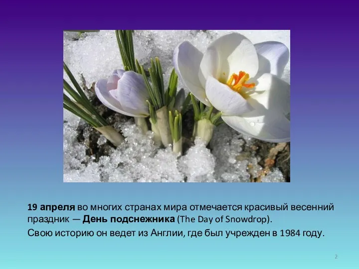 19 апреля во многих странах мира отмечается красивый весенний праздник
