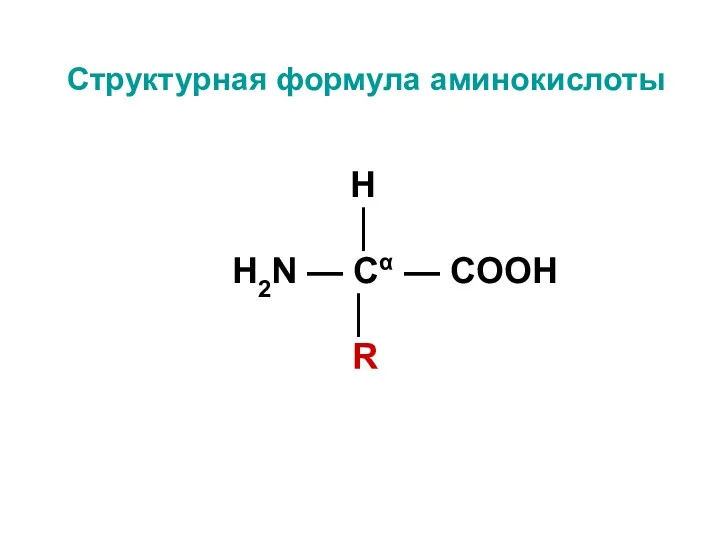 Структурная формула аминокислоты H │ H2N — Cα — COOH │ R