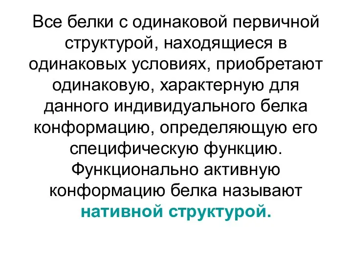 Все белки с одинаковой первичной структурой, находящиеся в одинаковых условиях,