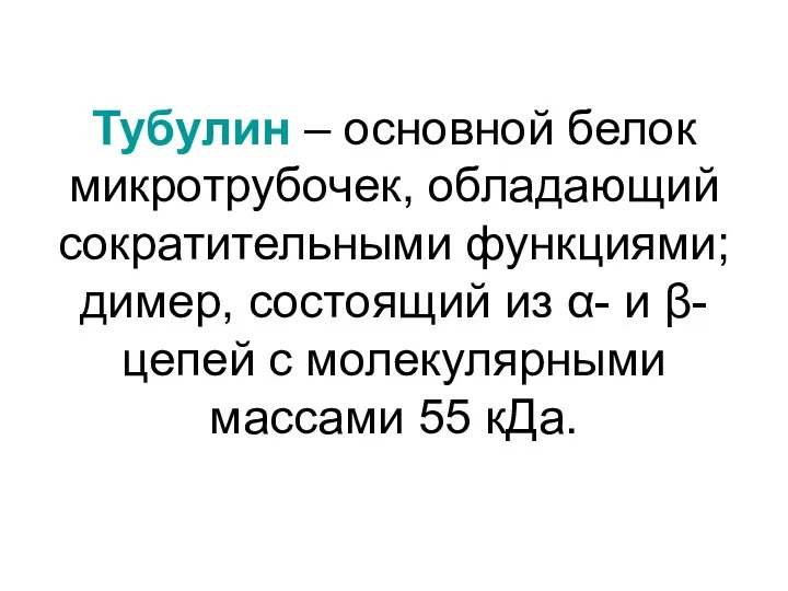 Тубулин – основной белок микротрубочек, обладающий сократительными функциями; димер, состоящий