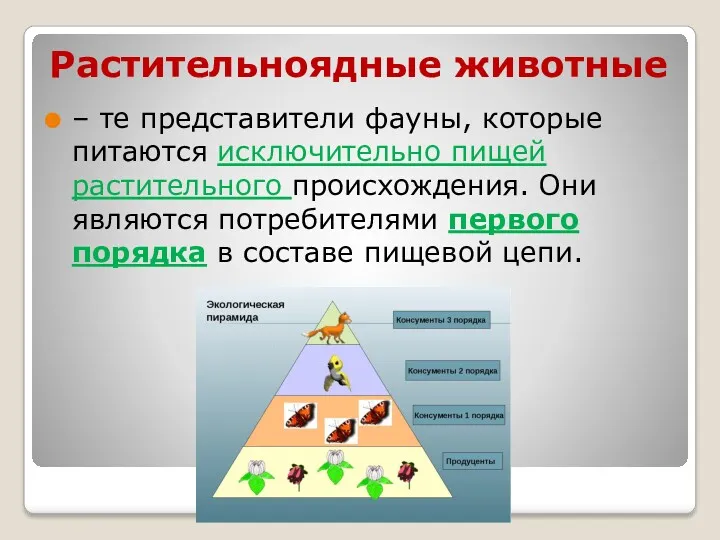 Растительноядные животные – те представители фауны, которые питаются исключительно пищей