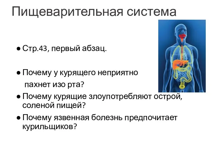 Пищеварительная система Стр.43, первый абзац. Почему у курящего неприятно пахнет