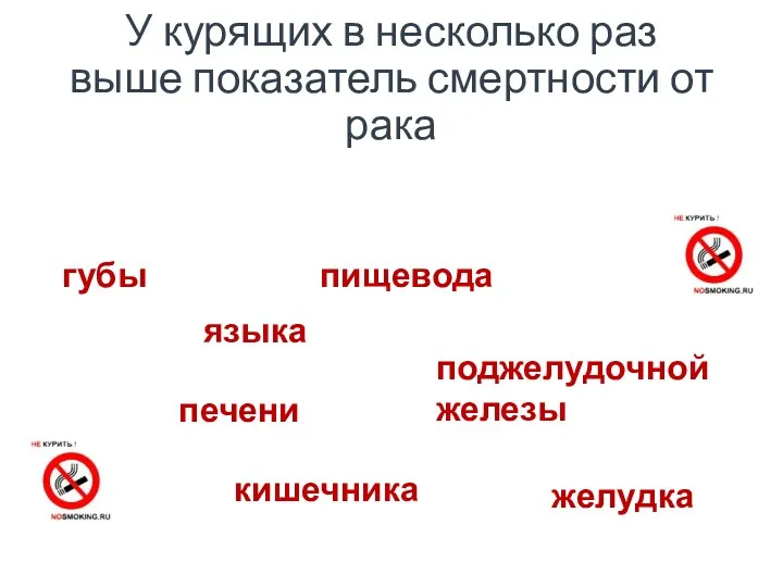 У курящих в несколько раз выше показатель смертности от рака