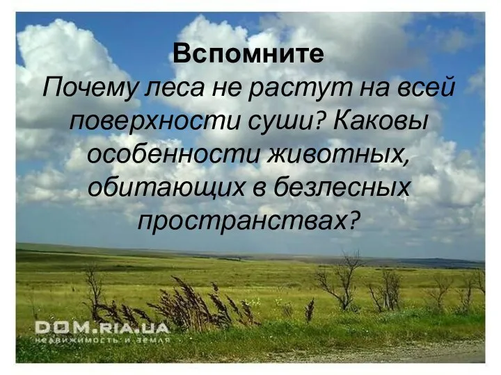 Вспомните Почему леса не растут на всей поверхности суши? Каковы особенности животных, обитающих в безлесных пространствах?