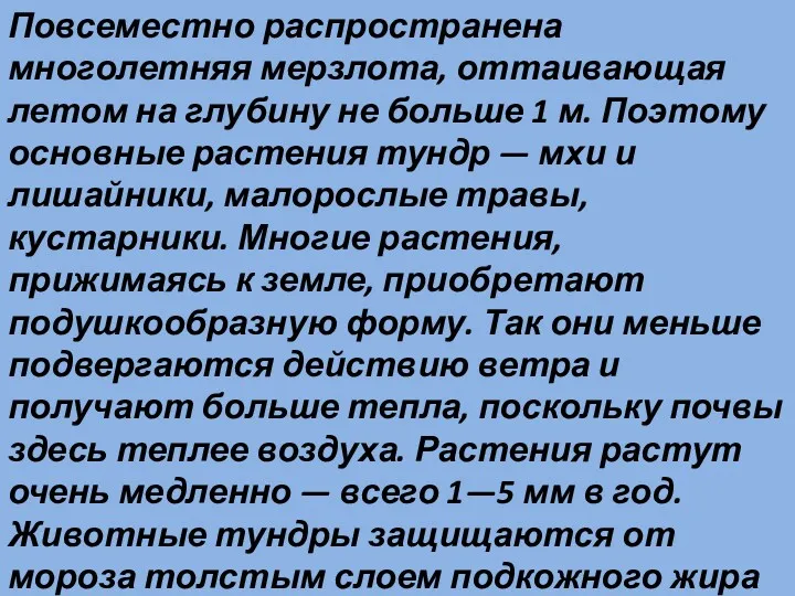 Повсеместно распространена многолетняя мерзлота, оттаивающая летом на глубину не больше