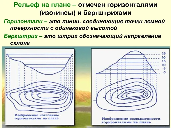 Рельеф на плане – отмечен горизонталями (изогипсы) и бергштрихами Горизонтали