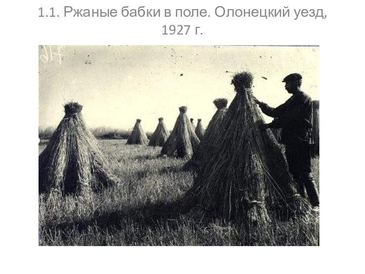 1.1. Ржаные бабки в поле. Олонецкий уезд, 1927 г.
