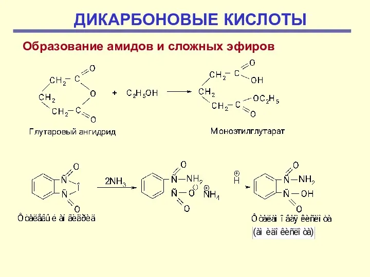 ДИКАРБОНОВЫЕ КИСЛОТЫ Образование амидов и сложных эфиров