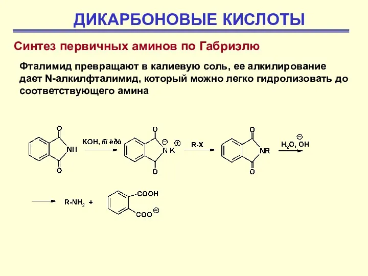 ДИКАРБОНОВЫЕ КИСЛОТЫ Синтез первичных аминов по Габриэлю Фталимид превращают в