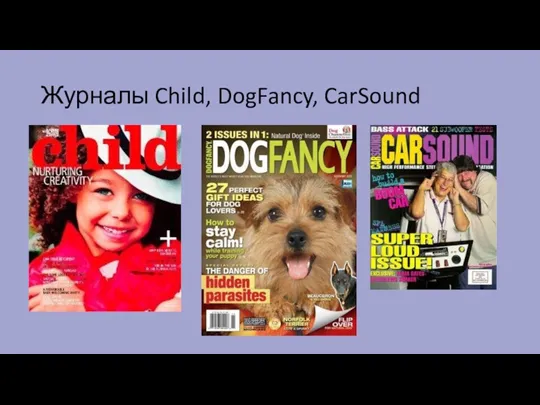 Журналы Child, DogFancy, CarSound