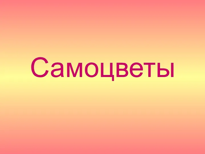 Самоцветы