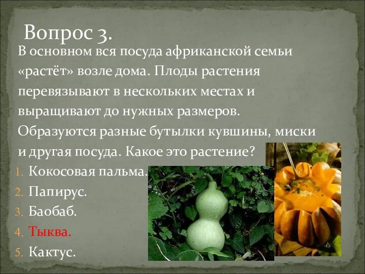 В основном вся посуда африканской семьи «растёт» возле дома. Плоды