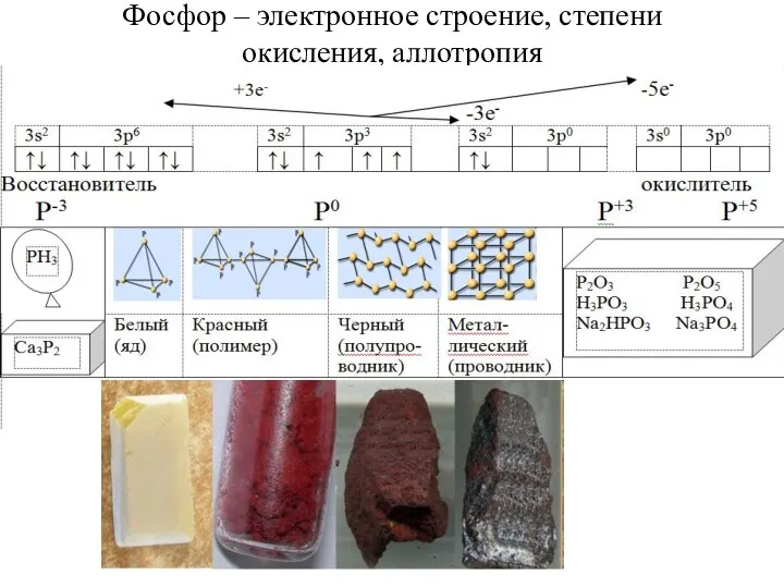 Фосфор – электронное строение, степени окисления, аллотропия