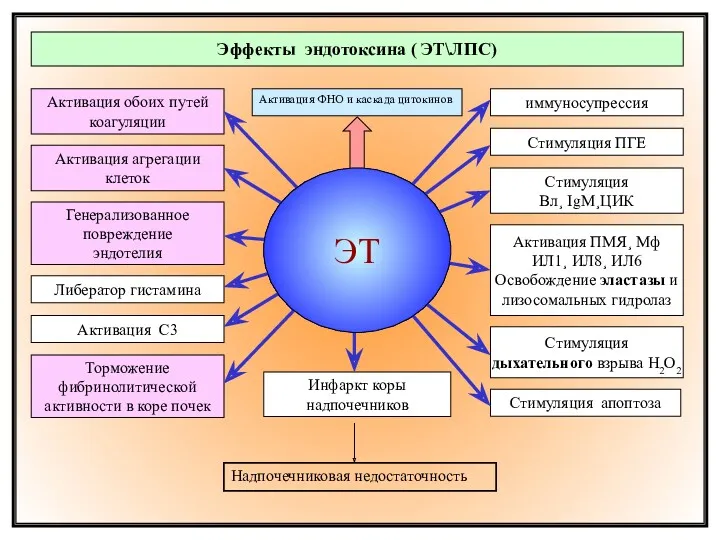 Терапия: зависит от ВИДА шока и стадии анальгетики¸ восполнение объема