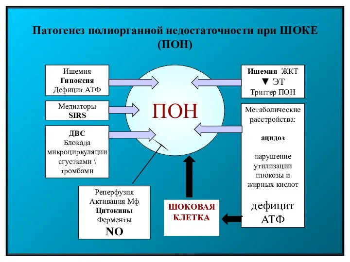 Патогенез полиорганной недостаточности при ШОКЕ (ПОН) ПОН Ишемия Гипоксия Дефицит