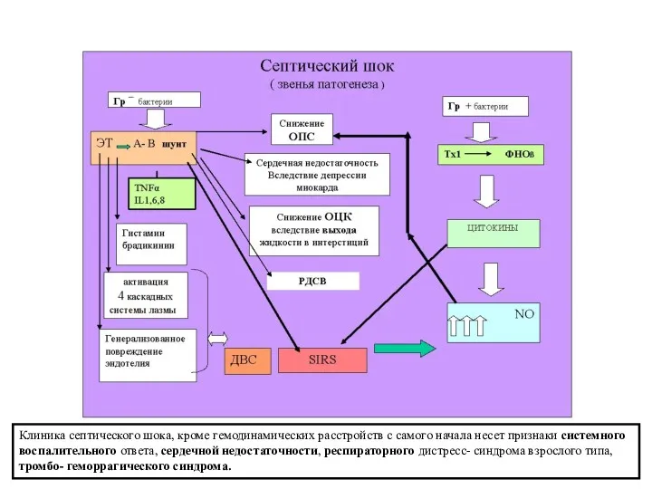 Клиника септического шока, кроме гемодинамических расстройств с самого начала несет
