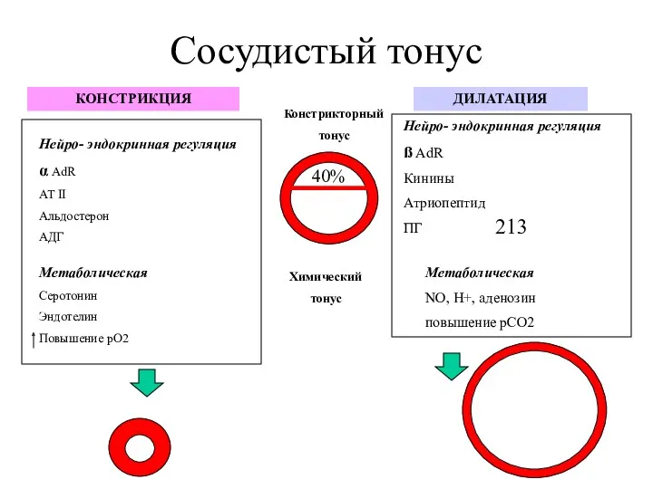 Сосудистый тонус 213 40% Химический тонус Констрикторный тонус Нейро- эндокринная