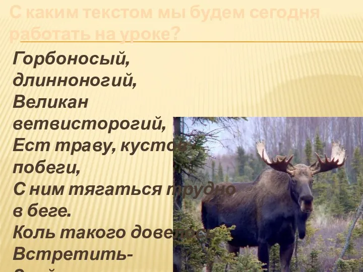 С каким текстом мы будем сегодня работать на уроке? Горбоносый,