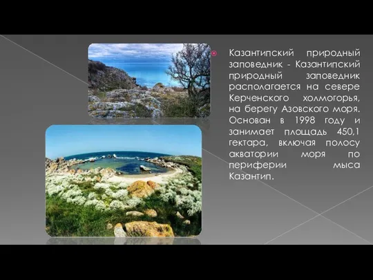 Казантипский природный заповедник - Казантипский природный заповедник располагается на севере