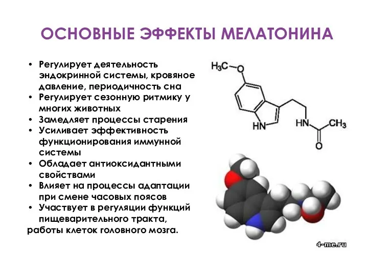 ОСНОВНЫЕ ЭФФЕКТЫ МЕЛАТОНИНА Регулирует деятельность эндокринной системы, кровяное давление, периодичность