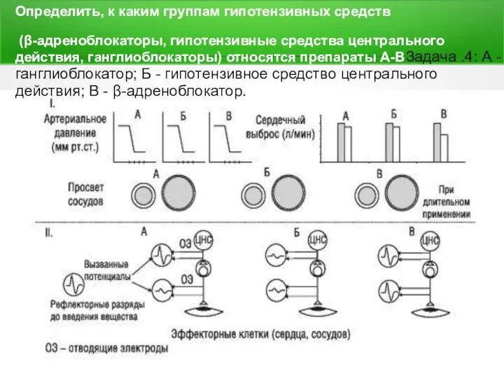 Определить, к каким группам гипотензивных средств (β-адреноблокаторы, гипотензивные средства центрального