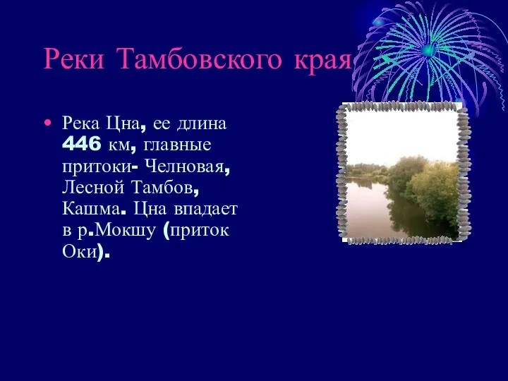 Реки Тамбовского края Река Цна, ее длина 446 км, главные притоки- Челновая, Лесной