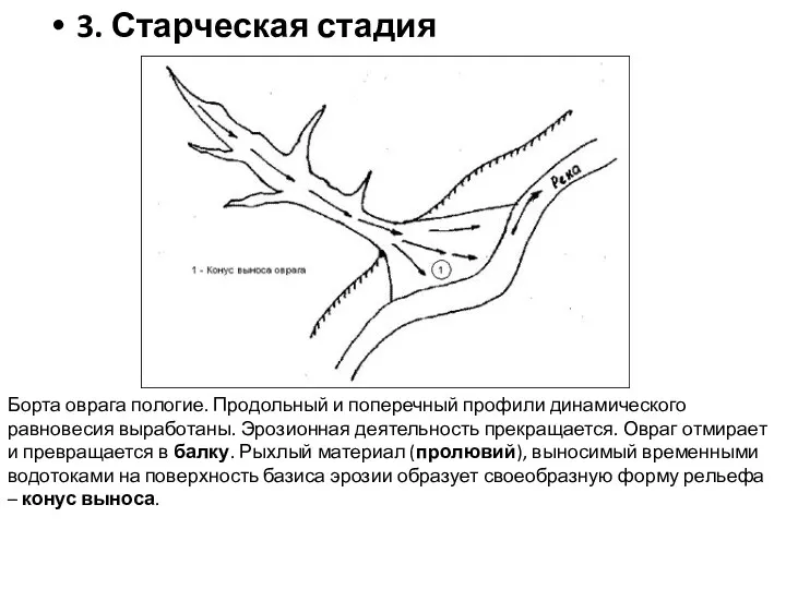 3. Старческая стадия Борта оврага пологие. Продольный и поперечный профили