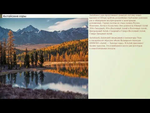 Алтайские горы Алтайские горы представляют сложную систему самых высоких в