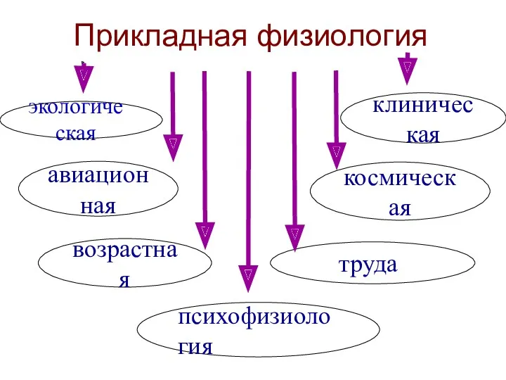 Прикладная физиология экологическая авиационная возрастная клиническая космическая труда психофизиология