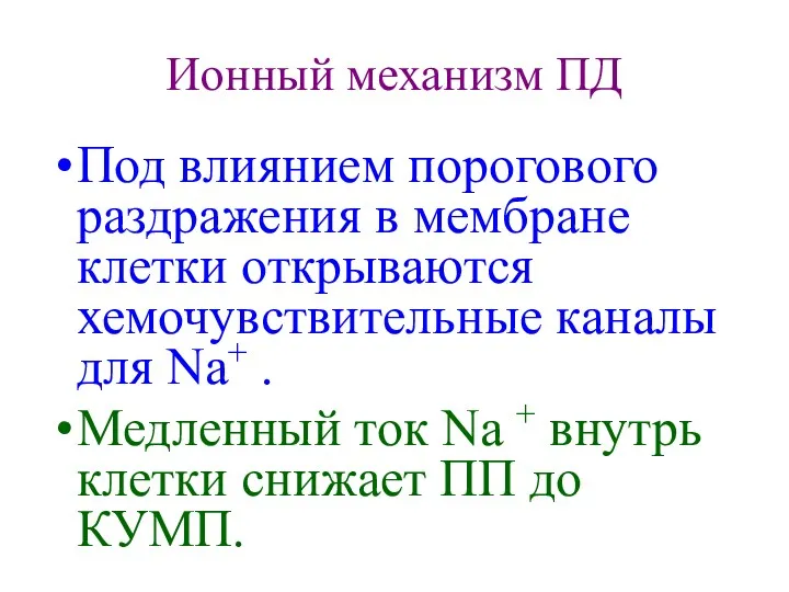 Ионный механизм ПД Под влиянием порогового раздражения в мембране клетки