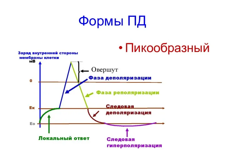 Формы ПД Пикообразный