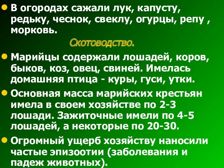 В огородах сажали лук, капусту, редьку, чеснок, свеклу, огурцы, репу