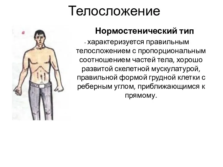 Телосложение Нормостенический тип - характеризуется правильным телосложением с пропорциональным соотношением