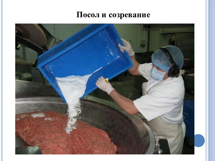 Посол и созревание