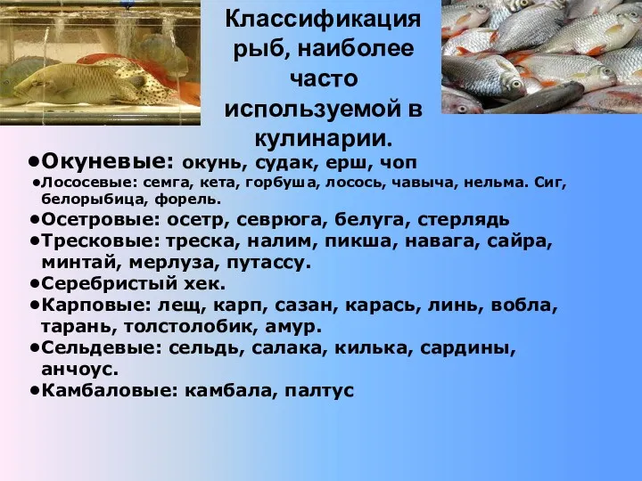 Классификация рыб, наиболее часто используемой в кулинарии. Окуневые: окунь, судак,