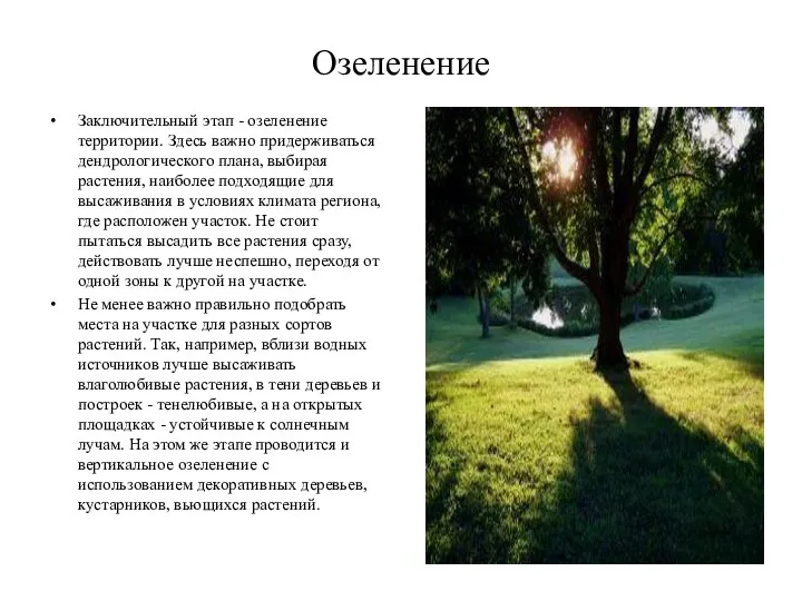 Озеленение Заключительный этап - озеленение территории. Здесь важно придерживаться дендрологического