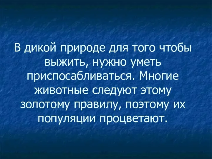 В дикой природе для того чтобы выжить, нужно уметь приспосабливаться.