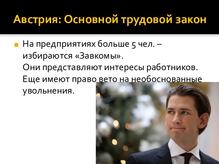 Австрия: Основной трудовой закон На предприятиях больше 5 чел. –