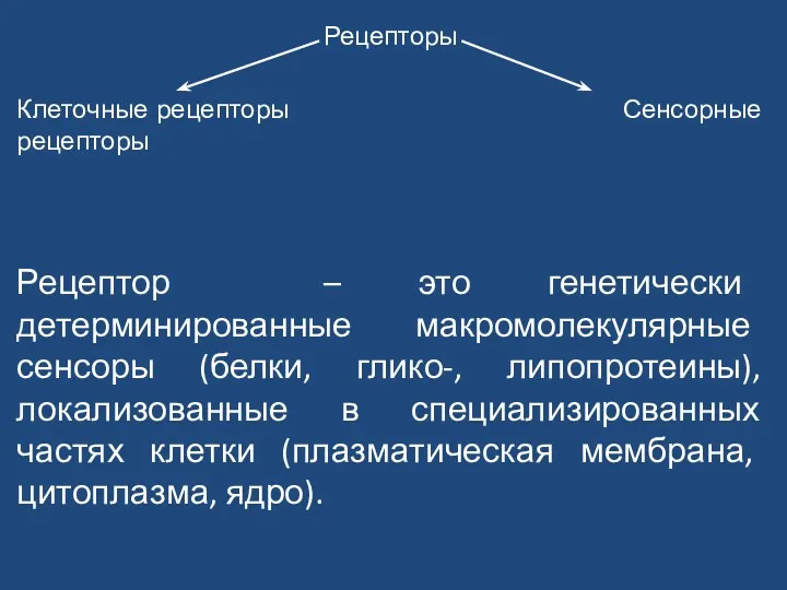 Рецепторы Клеточные рецепторы Сенсорные рецепторы Рецептор – это генетически детерминированные