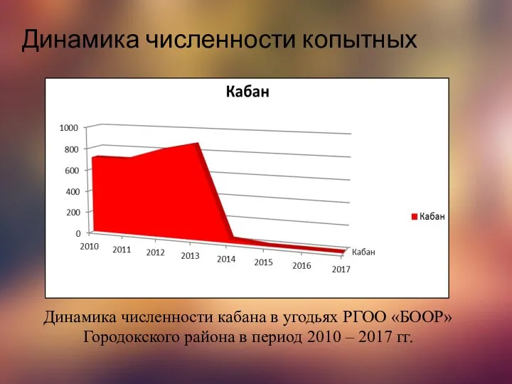 Динамика численности копытных Динамика численности кабана в угодьях РГОО «БООР» Городокского района в