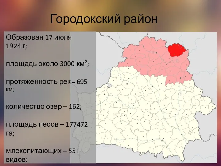 Городокский район Образован 17 июля 1924 г; площадь около 3000 км2; протяженность рек