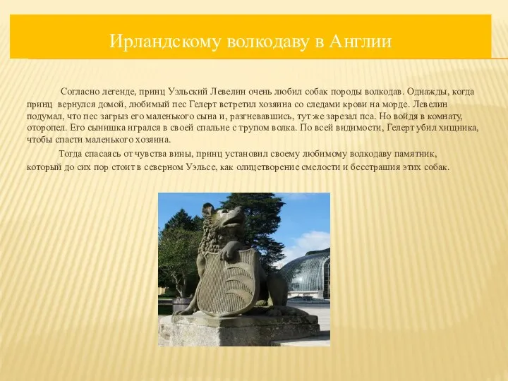 Согласно легенде, принц Уэльский Левелин очень любил собак породы волкодав.