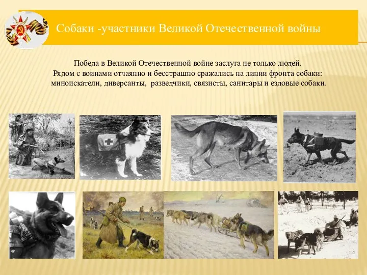 Собаки -участники Великой Отечественной войны Победа в Великой Отечественной войне